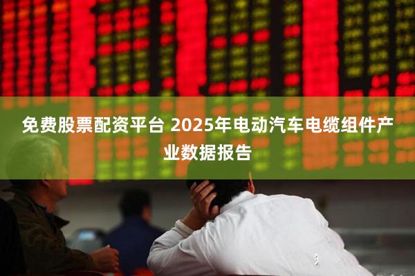 免费股票配资平台 2025年电动汽车电缆组件产业数据报告