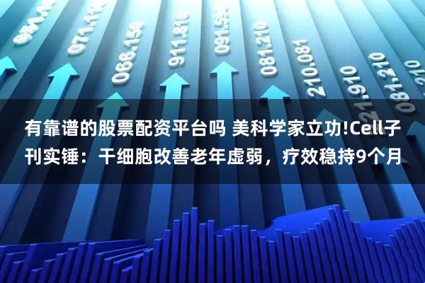 有靠谱的股票配资平台吗 美科学家立功!Cell子刊实锤:干细胞改善老年虚弱,疗效稳持9个月