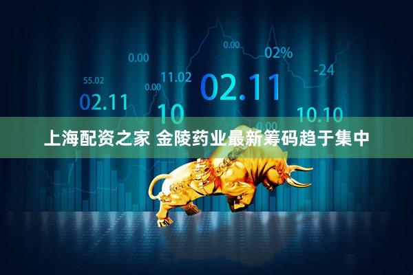 上海配资之家 金陵药业最新筹码趋于集中
